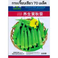 ราคา เมล็ดพันธุ์ กระเจี๊ยบเขียว แดง กระเจี๊ยบมอญเขียว แดง 50 70 เมล็ด (21461879434)