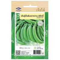 ราคา ถั่วลันเตาหวาน สวีทตี้ CT F1 025 ผักซอง เจียไต๋ F1 ประมาณ 45เมล็ด เมล็ดพันธุ์ผัก เมล็ดผัก เมล็ดพืช ผักสวนครัว (20052217486)