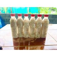 ราคา หน่อไม้ดองเปรี้ยว ทำจากหน่อไม้ลวก ขนาด390 กรัม บรรจุขวด 350ml (20525175596)