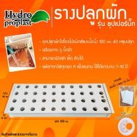 ราคา รางปลูกผักไฮโดรโปนิกส์ รุ่น ซุปเปอร์บิ๊ก ระบบน้ำนิ่ง จำนวน 40 หลุม ยาว 100 cm ระยะห่างต่อหลุม 9 cm เหมาะสำหรับปลูกผักไทย (22663093930)