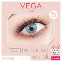 ราคา Vega gray by TATOTO Contact ของแท้100 มีอย ไทย (16422512445)