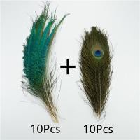 ราคา 20 ชิ้นนกยูงธรรมชาติตก แต่งงานปาร์ตี้ดาบนกยูงขนนกประดับเครื่องประดับแจกัน แต่งงานชิ้นกลาง (21806510169)