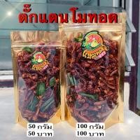 ราคา ตั๊กแตนโมทอด ตัวเล็ก แมลงทอดซู่ซ่า ทอดตามออเดอร์ สด ใหม่ ทุกวัน (12178212521)