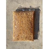 ราคา ข้าวเปลือก เม็ดกลม ไก่ชน (20851642655)