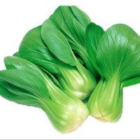 ราคา 1000 เมล็ด ผักกวางตุ้ง ผักกาดเขียวกวางตุ้ง ผักกาดจ่อ ผักกาดดอก Chinese cabbage Seeds (21738047607)