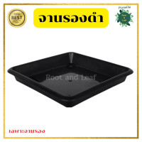 ราคา กระถางเหลี่ยมทรงเพชร ขนาด 9 นิ้ว กระถางต้นไม้พลาสติก กระถางมินิมอล ตกแต่งบ้าน แต่งคอนโด แต่งคาเฟ่ พร้อมส่ง (22381246576)