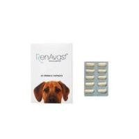 ราคา Renavast for dog หมดอายุ 03 2025 อาหารเสริมโปรตีน สำหรับสุนัข อายุ 1 ปีขึ้นไป บรรจุ 60 แคปซูล (22210678092)