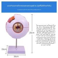 ราคา 6x การขยาย Eye รุ่น Human Eye Dissection รุ่นที่ถอดออกได้ 7 ชิ้นกระจกนิ้วเลนส์ Macula ของเล่นสําหรับวัยรุ่นและผู้ใหญ่ (11547973602)