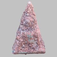 ราคา พระนางพญาหลังนาง กรุวังหน้า (12383850316)