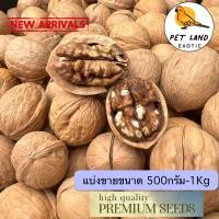 ราคา Walnut ถั่ววอลนัทเกรด A นำเข้าจากอเมริกา สำหรับนก และสัตว์ฟันแทะ แบ่งขาย 500g 1kg (19109411689)