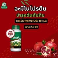 ราคา ทับทิม โตไว ใบเขียว ผลใหญ่ แข็งแรง ผลผลิตดี อะมิโนโปรตีนจำเป็นสำหรับพืช 18 ชนิด อะมิโนแรปเตอร์ โดย ไดโนเร็กซ์ (18490659453)