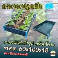 ราคา กระบะปลูกผัก แสนดี แปลงผักสำเร็จรูป พร้อมโครง PVC 1 นิ้ว หนา 8 5 อย่างดี ถุงกระบะปลูกผัก Farmpickup (22596425150)