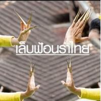ราคา ส่งด่วนราคาส่ง ราคาถูกงานไทยแท้ เล็บฟ้อน เล็บฟ้อนรำ สำหรับฟ้อนเล็บ (22230205926)