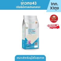 ราคา ส่งฟรี จัสมิน ข้าวกข43 ดัชนีน้ำตาลต่ำ แท้100 ขนาด 1กก X 125 ถุง แพคสุญญากาศ (22155386717)