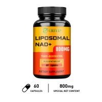 ราคา Grevip Liposome NAD 500 mg Trans Resveratrol 300 mg อาหารเสริม NAD แท้ที่ดูดซึมได้ดีเยี่ยม กระตุ้นการเผาผลาญพลังงานในเซลล์และซ่อมแซม DNA (22679248552)
