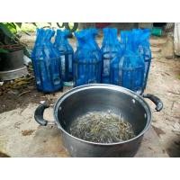 ราคา ไซกุ้งไม้ ที่ดักกุ้งฝอย ตุ้มกุ้ง ที่จับกุ้ง แบบไม้ อุปกรณ์ดักกุ้งฝอย (22258295050)