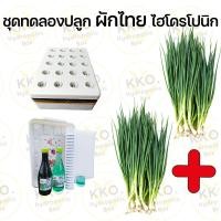 ราคา ชุดปลูก ชุดปลูกผักไทยและผักสลัด ชุดปลูกผักไฮโดร และอุปกรณ์ยกชุด เลือกเมล็ดผักเองได้ (22204674521)
