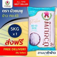 ราคา ส่งฟรี Free Delivery ข้าวตราบัวชมพู ข้าวหอม กข43 ดัชนีน้ำตาลปานกลาง ต่ำ น้ำหนัก 5กก (22116429671)