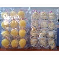 ราคา ฟองน้ำอนามัย BN ฟองน้ำเกรดA 1 โหลมี12 ชิ้น มีของพร้อมส่ง (22087669316)