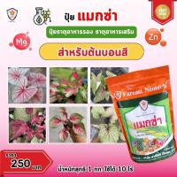 ราคา แมกซ่า ธาตุอาหารรอง ธาตุอาหารเสริมพืช แมกนีเซียม ซิงค์ เพิ่มคุณภาพและผลผลิตให้ต้นบอนสี (21080366253)