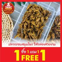 ราคา ปลากรอบ ปลาจิ้งจั้ง ฟรี 1แถม1 ใส่กล่องสวยงาม ส่งตรงจากมหาชัย ทะเลไท (21876968883)