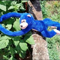 ราคา Yok thip ลิง ลิงตัวใหญ่ ลิงของเล่น ลิงร้องได้ ลิงกอดคอ ตุ๊กตาลิง ตุ๊กตาผ้า ลิงผ้าขน ลิงน่ารัก ตุ๊กตาลิงของเล่นเด็ก ลิงร้องเจี๊ยบๆ ลิงหลากสี (18501160672)