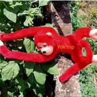 ราคา Yok thip ลิง ลิงตัวใหญ่ ลิงของเล่น ลิงร้องได้ ลิงกอดคอ ตุ๊กตาลิง ตุ๊กตาผ้า ลิงผ้าขน ลิงน่ารัก ตุ๊กตาลิงของเล่นเด็ก ลิงร้องเจี๊ยบๆ ลิงหลากสี (18501160666)