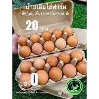 ราคา ไข่ไก่จากฟาร์ม ไข่แดงดี พร้อมส่ง เบอร์0 20ฟอง สดใหม่วันต่อวัน (22308037102)
