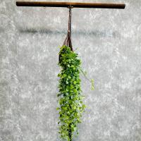 ราคา ต้นเดฟ ในตระกร้าหวาย แขวนประดับ พุ่มขนาดใหญ่ (20673143015)