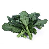 ราคา คะน้าฮ่องกง สด สะอาด รับประกันคุณภาพ (14979562127)