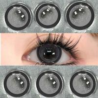 ราคา คอนแทคเลนส์สีขนาดเส้นผ่านศูนย์กลาง 14 2 มม ต่อปีคอนแทคเลนส์รายเดือนคอนแทคเลนส์ คอนแทคเลนส์ Thai Tea Grey Black กรองแสงขนาดมินิ 1คู่ 14 5mm (21992263194)