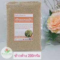 ราคา ข้าวฟ่างหางม้า Millet Grass Seed ธัญพืช ทำขนม ทำอาหารคาวหวาน ปริมาณ 200กรัม500 กรัม (21417015339)