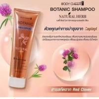 ราคา แชมพูBotanic Shampoo Natural Herb โบทานิคขนาด250mlแชมพูสำหรับผมขาดหลุดร่วงง่ายผมแห้งกระด้าง ชี้ฟู ผมเสีย ผมแห้งเกิดรังแค Exp01 2026 successmore (22792259131)