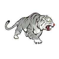 ราคา Creative Tiger สติ๊กเกอร์รถ 3D Eye Catching Design สําหรับรถประตูและ Bonnets ส่วนบุคคลแผ่นตกแต่งสําหรับรถจักรยานยนต์ (21339934707)