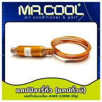 ราคา แคปทิวป์แบบเชื่อม 12000 48000 BTU (21340266717)