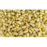 ราคา ผลไม้ดอง 3 รส ขนาด200 250กรัม แถมพริกเกลือบ๊วย ผลไม้ ผลไม้แช่อิ่ม ขายดีส่งฟรี สดใหม่ หวาน กรอบอร่อย ทานเพลิน วัตถุดิบคุณภาพ (21057182672)