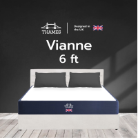 ราคา อัดสุญญากาศ Thames ที่นอนชาโคล รุ่น Vianne หนา 6 นิ้ว นุ่น นอนสบาย ป้องกันเชื้อรา (22599051926)