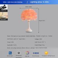 ราคา HEIKESZ โคมไฟตั้งโต๊ะขนนกตกแต่งแบบนอร์ดิกสเปกตรัมบรรยากาศห้องนอนอินเทอร์เน็ตโคมไฟหัวเตียง Pelindung Mata สีแดงโคมไฟโคมไฟคืนตั้งโต๊ะโรแมนติกขั้นสูงโคมไฟตั้งโต๊ะแบบชาร์จได้ปรับได้พกพาได้ (21460777415)