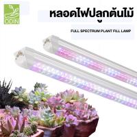 ราคา ชุดหลอดไฟ LED T8 grow light 36W full spectrum 90cm 120cm ไฟปลูกต้นไม้ ไฟเพาะต้นอ่อน clone LED light LED Grow Tube for Indoor Plant LED tube ไฟแคคตัส ไฟปลูกพืช (22856297456)