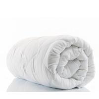 ราคา ไส้ผ้านวมขนห่านเทียม ผ้านวมขนห่านเทียม ใยไมโครเจล Duvet insert Microgel 200 g Blue sleep (2750546334)