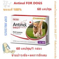 ราคา Antinol DOG 60 แคปซูล หมดอายุ08 2025 แพ็คเกจใหม่ อาหารเสริมบำรุงข้อ ข้ออักเสบ 1 กล่องบรรจุ 60 เม็ด (22712262448)