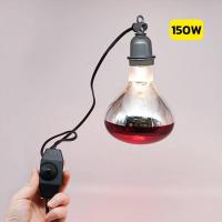 ราคา หลอดไฟอินฟาเรด หลอดไฟกกลูกไก่ กกลูกหมู กกสัตว์ กกนก 100W 150W 175W 200 250W ให้ความอบอุ่นสัตว์เล็ก (22566625038)