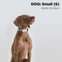 ราคา PETKIT FIT 3 ปลอกคอสัตว์เลี้ยงอัจฉริยะ ติดตามทุกความเคลื่อนไหว บันทึกเวลานอน เล่น หรือใช้ค้นหาตัวน้องได้ PETKIT Smart Collar PETKIT ปลอกคอ (16050240104)