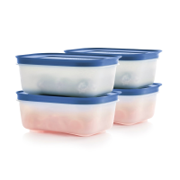 ราคา กล่องบรรจุอาหาร ทัปเปอร์เเวร์ รุ่น Freezer Mates Gen II Small Mini Set เลือกขนาดได้ (22848736804)