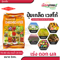 ราคา ปุ๋ย ปุ๋ยเกล็ด เวสโก้ ปุ๋ย เกล็ด 8 24 24 TE ขนาด 1 กิโลกรัม ฮอร์โมนพืช เสริมการเจริญเติบโต ลำต้น ราก ดอก ผล ใบ ใช้ได้กับพืชทุกชนิด ปุ๋ยเคมี ปุ๋ยแนนซ เวสโก้ (22861639522)
