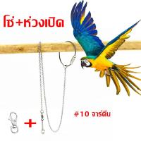 ราคา โซ่คล้องขานก โซ่นก ห่วงขานก ห่วงเปิดขานก ยาว 80 cm เลิฟเบร์ด นกกรงหัวจุก นกเอี้ยง (19496320679)