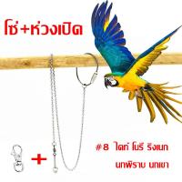 ราคา โซ่คล้องขานก โซ่นก ห่วงขานก ห่วงเปิดขานก ยาว 80 cm เลิฟเบร์ด นกกรงหัวจุก นกเอี้ยง (19496320678)