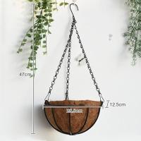 ราคา Spring Homeกระเช้าแขวนต้นมะพร้าว สายเป็นโซ่เหล็ก กระถางแขวน ขุยมะพร้าว กระถางต้นไม้ ตกแต่งบ้าน ระงับ (22695585266)