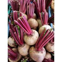 ราคา สดใหม่จากสวน บีทรูท สด beetroot บีทรูท หัวบีทรูท ผลสด 1kg ราคาส่ง ราคาถูก (21021779173)