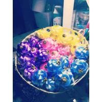 ราคา เหรียญโปรยทานดอกมะลิฉัตรพิกุลคละสี 35 ดอก สำเร็จพร้อมโปรย (19771447681)